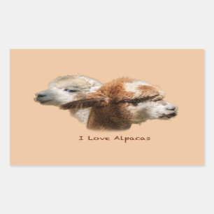 I Liebe Alpacas Rectangle Stickers