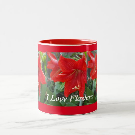 I Liebe Amaryllis Blume Cup Zweifarbige Tasse (Mittel)
