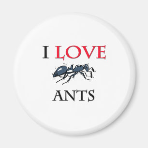 I Liebe-Ameisen Magnet
