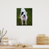 I Liebe American Bull Dogs Poster (Küche)