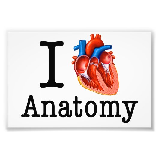I Liebe Anatomie Fotodruck (Vorne)