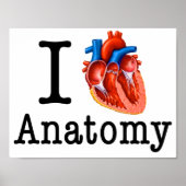 I Liebe Anatomie Poster (Vorne)