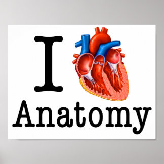 I Liebe Anatomie Poster