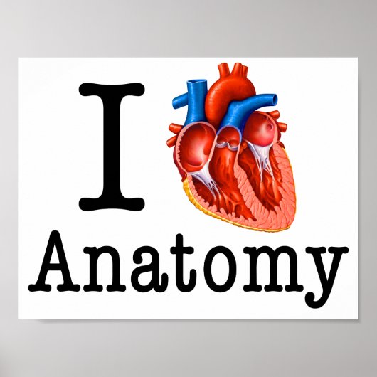 I Liebe Anatomie Poster (Vorne)