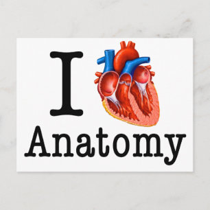 I Liebe Anatomie Postkarte