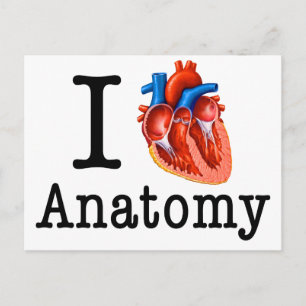 I Liebe Anatomie Postkarte