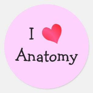 I Liebe Anatomie Runder Aufkleber