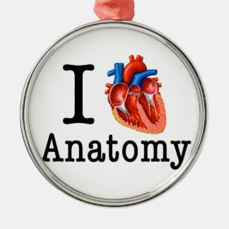 I Liebe Anatomie Silbernes Ornament