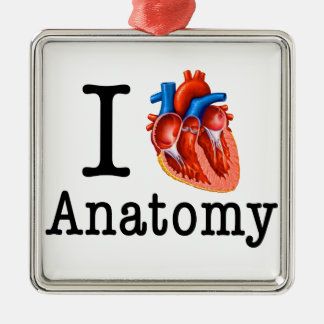 I Liebe Anatomie Silbernes Ornament