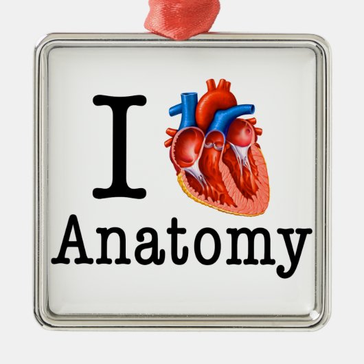 I Liebe Anatomie Silbernes Ornament (Vorne)