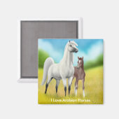 I Liebe Arabian Horses Magnet (Vorderseite/Rückseite)
