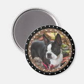I Liebe Boston Terrier Dogs Magnet (Vorderseite/Rückseite)