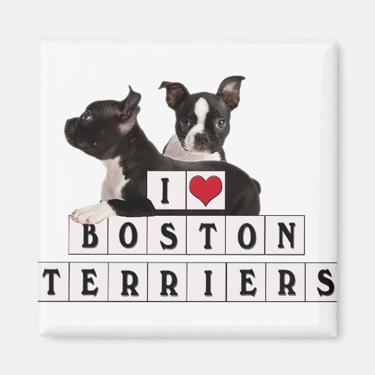 I LIEBE BOSTON TERRIERS BLOCKS MAGNET (Vorne)