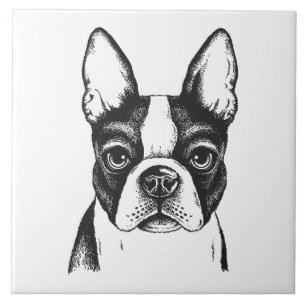 I Liebe Boston Terriers Fliese