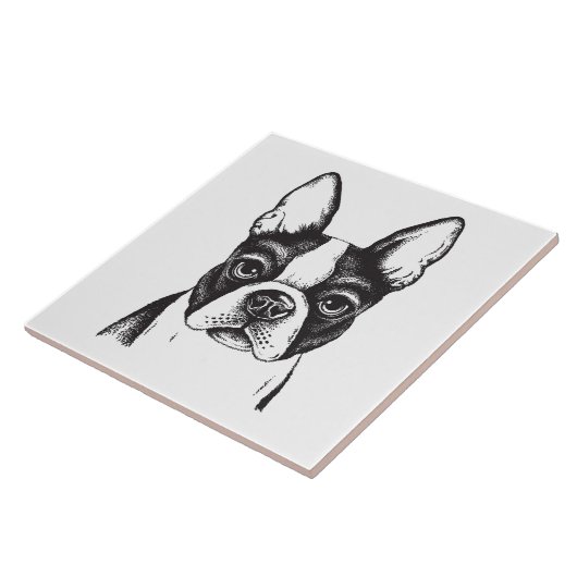 I Liebe Boston Terriers Fliese (Seite)