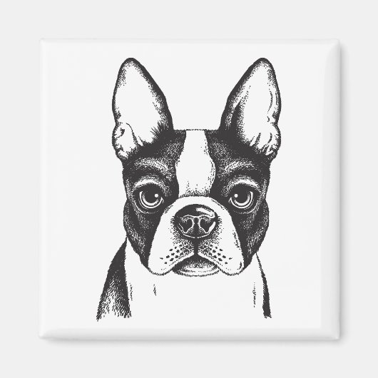 I Liebe Boston Terriers Magnet (Vorne)