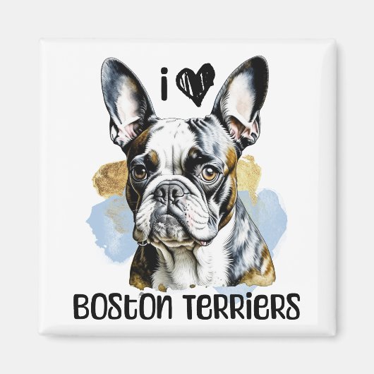 I Liebe Boston Terriers Magnet (Vorne)