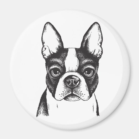 I Liebe Boston Terriers Magnet (Vorne)