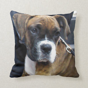 I LIEBE-BOXER-Kissen Kissen