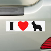 I Liebe Briards Autoaufkleber (Auf Auto)
