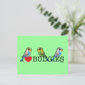 I Liebe Budgies Postkarte (Stehend Vorderseite)
