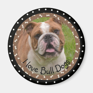 I Liebe Bull Hogs Magnet