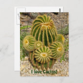 I Liebe Cactus Postcard Postkarte (Vorne/Hinten)