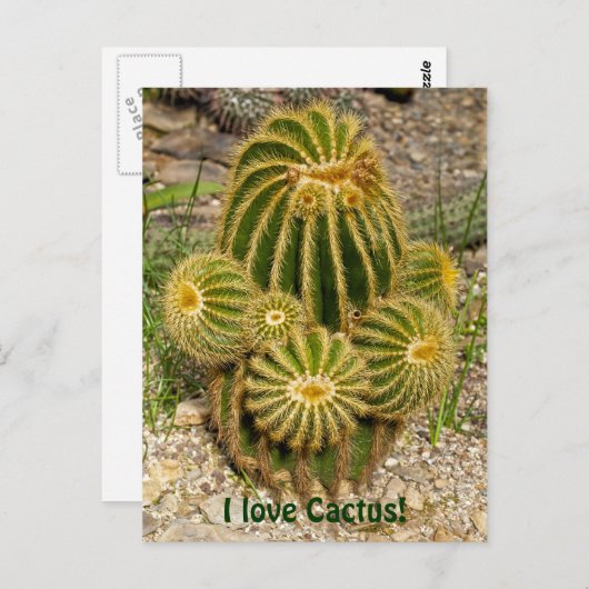I Liebe Cactus Postcard Postkarte (Vorne/Hinten)