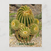 I Liebe Cactus Postcard Postkarte (Vorderseite)