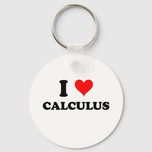 I Liebe Calculus Schlüsselanhänger (Vorderseite)