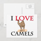 I Liebe Camels Postkarte (Vorne/Hinten)