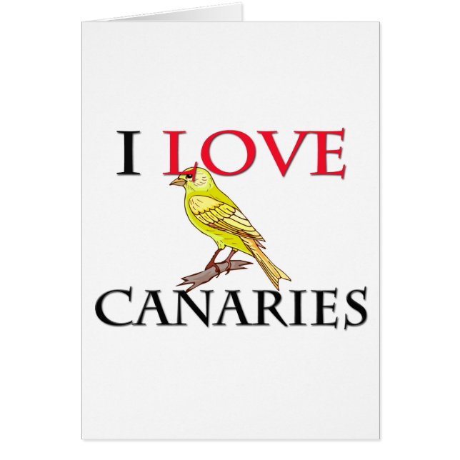 I Liebe Canaries (Vorne)