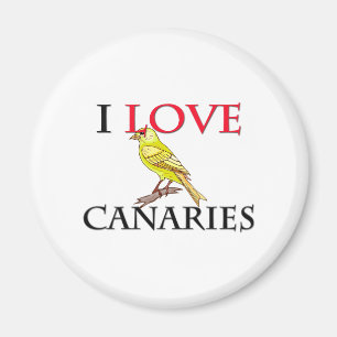 I Liebe Canaries Magnet