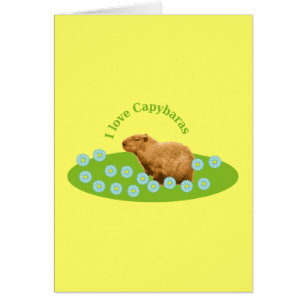 I Liebe Capybaras