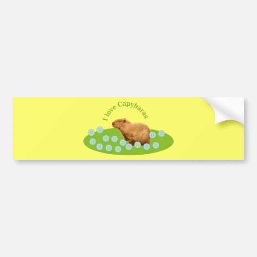 I Liebe Capybaras Autoaufkleber (Vorne)