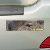 I Liebe Capybaras Autoaufkleber (Auf Auto)