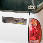 I Liebe Capybaras Autoaufkleber (Auf Lkw)