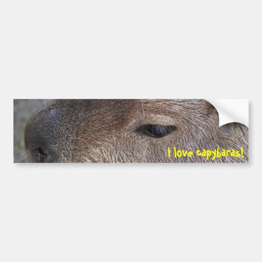 I Liebe Capybaras Autoaufkleber (Vorne)