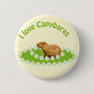 I Liebe Capybaras Button