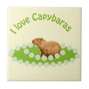 I Liebe Capybaras Fliese