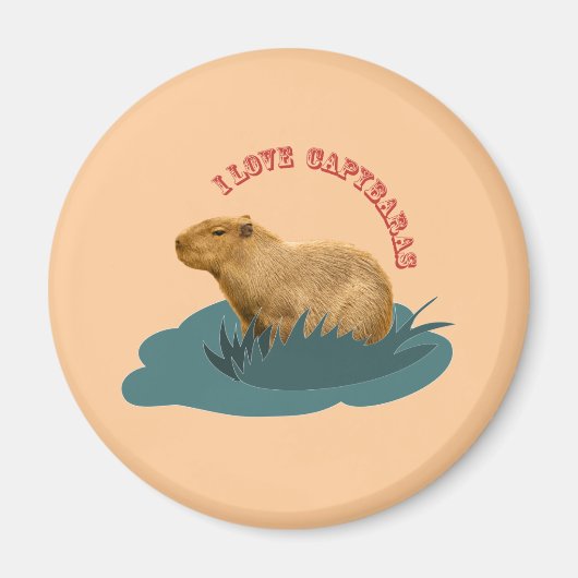 I Liebe Capybaras Magnet (Vorne)