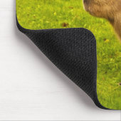 I Liebe Capybaras Mousepad (Ecke)