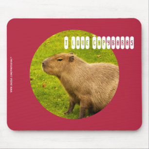 I Liebe Capybaras Mousepad