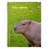 I Liebe Capybaras Notebook Notizblock (Vorderseite)