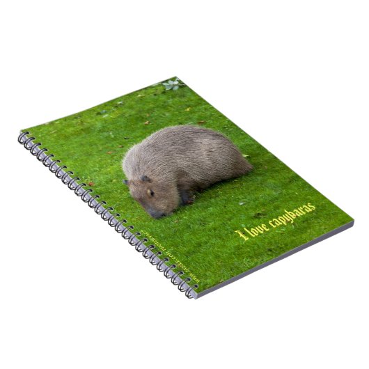 I Liebe Capybaras Notebook Notizblock (Rechte Seite)