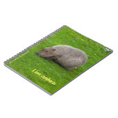 I Liebe Capybaras Notebook Notizblock (Linke Seite)