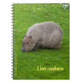 I Liebe Capybaras Notebook Notizblock (Vorderseite)