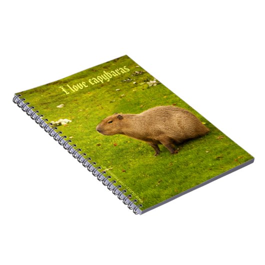 I Liebe Capybaras Notebook Notizblock (Rechte Seite)
