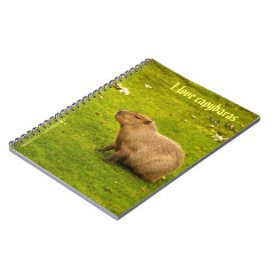 I Liebe Capybaras Notebook Notizblock