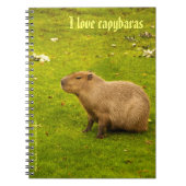 I Liebe Capybaras Notebook Notizblock (Vorderseite)
